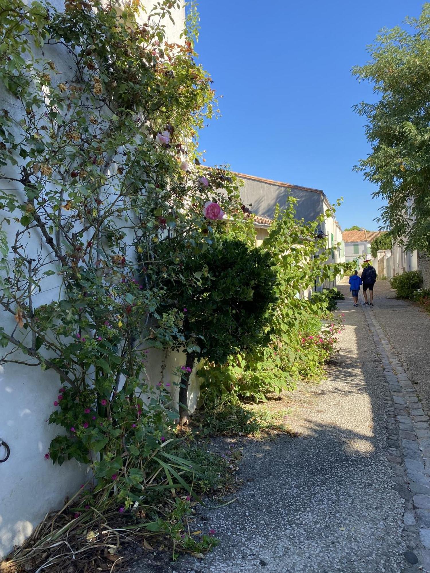 Apartamento Les Remparts Saint-Martin-de-Ré Exterior foto